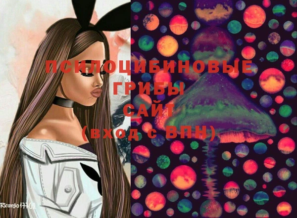 круглые Алзамай